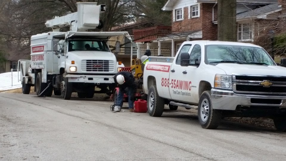 Avatar for Allan Tree Service
