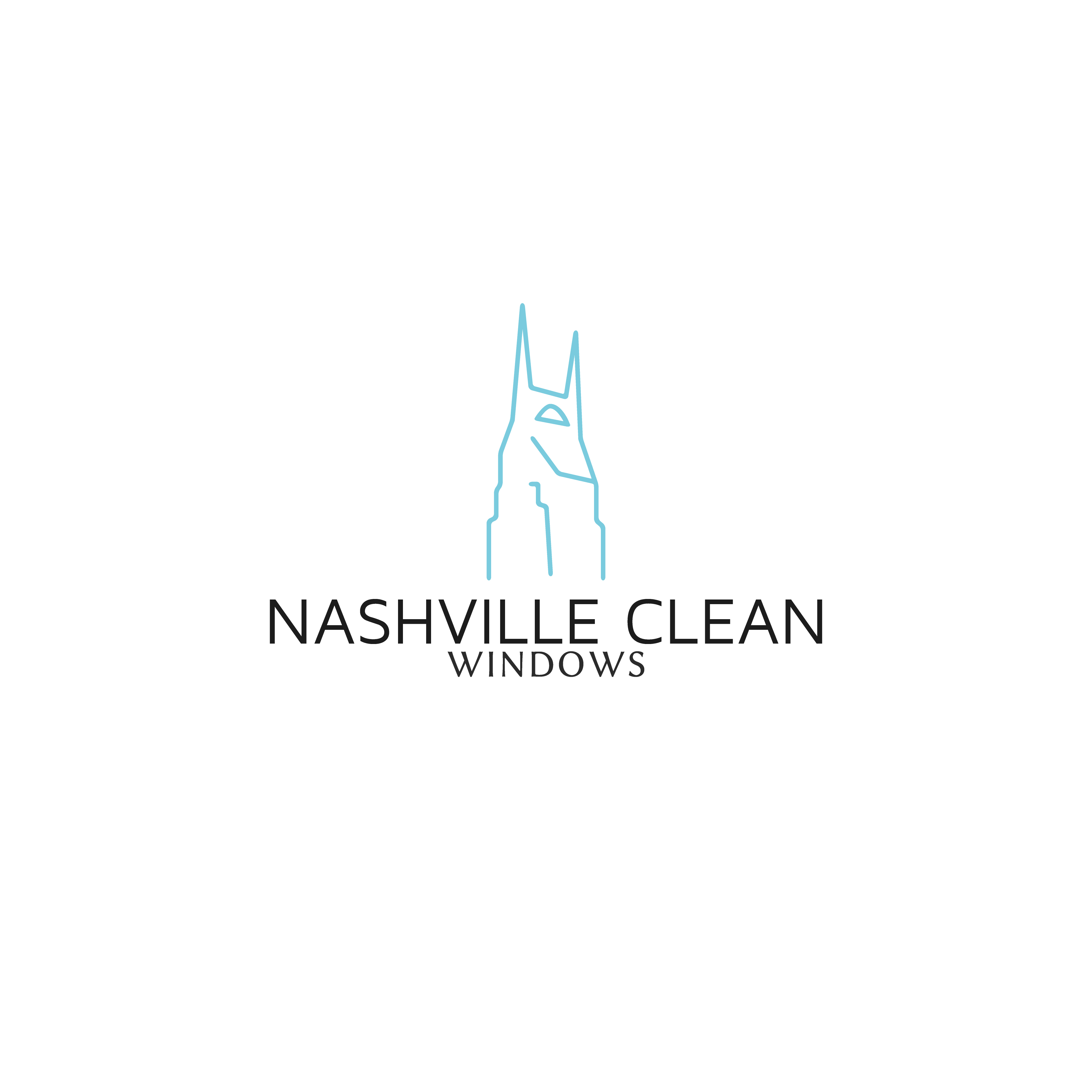 Logo for Nashville Clean Windows & Pressure Washing