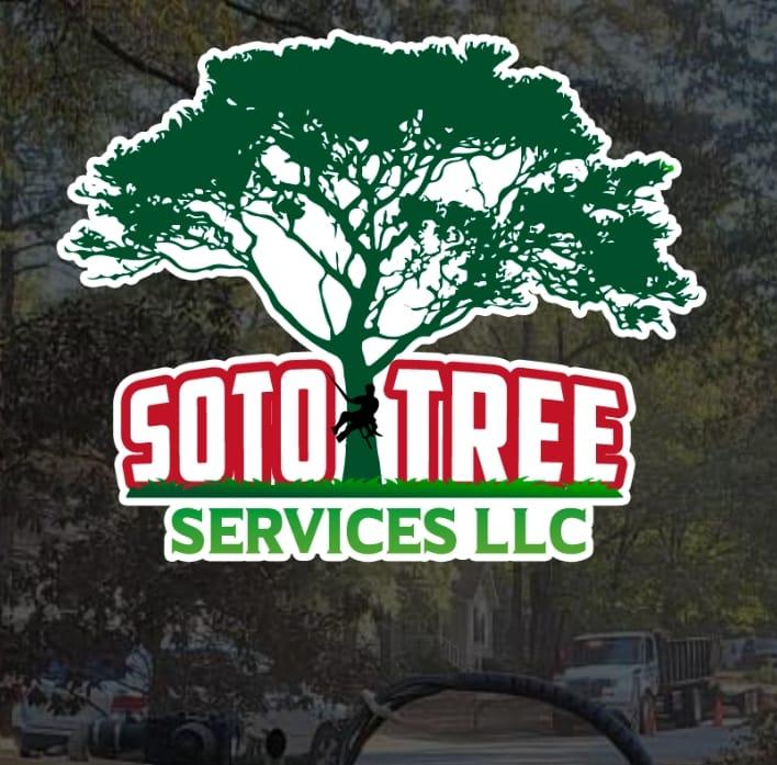Avatar for Soto Tree Service