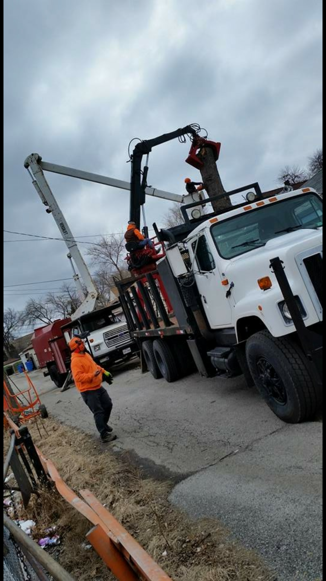 Phenomenal Tree Service logo