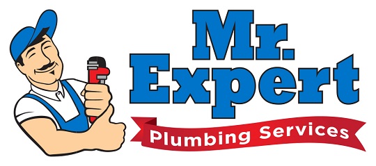 Logo for Mr. Expert Plumbing