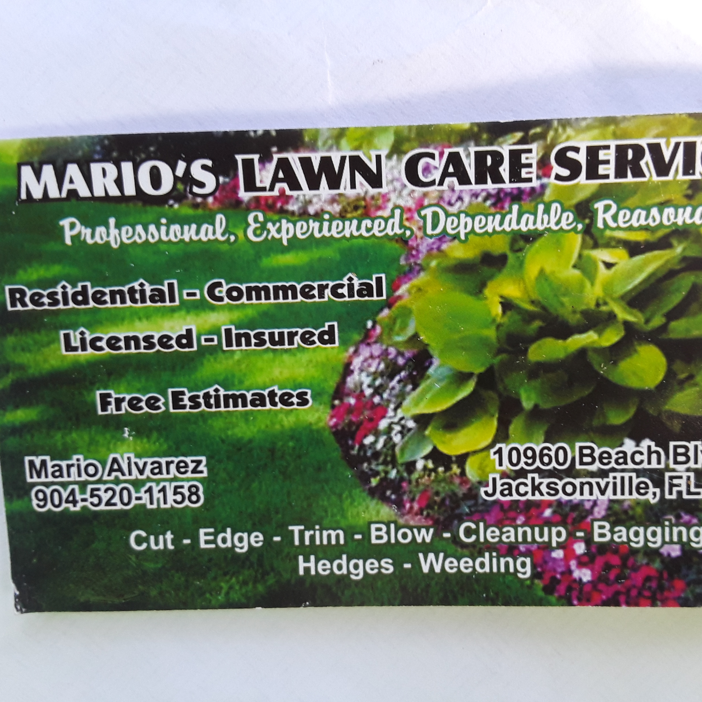 Logo for Mario's Landscaping