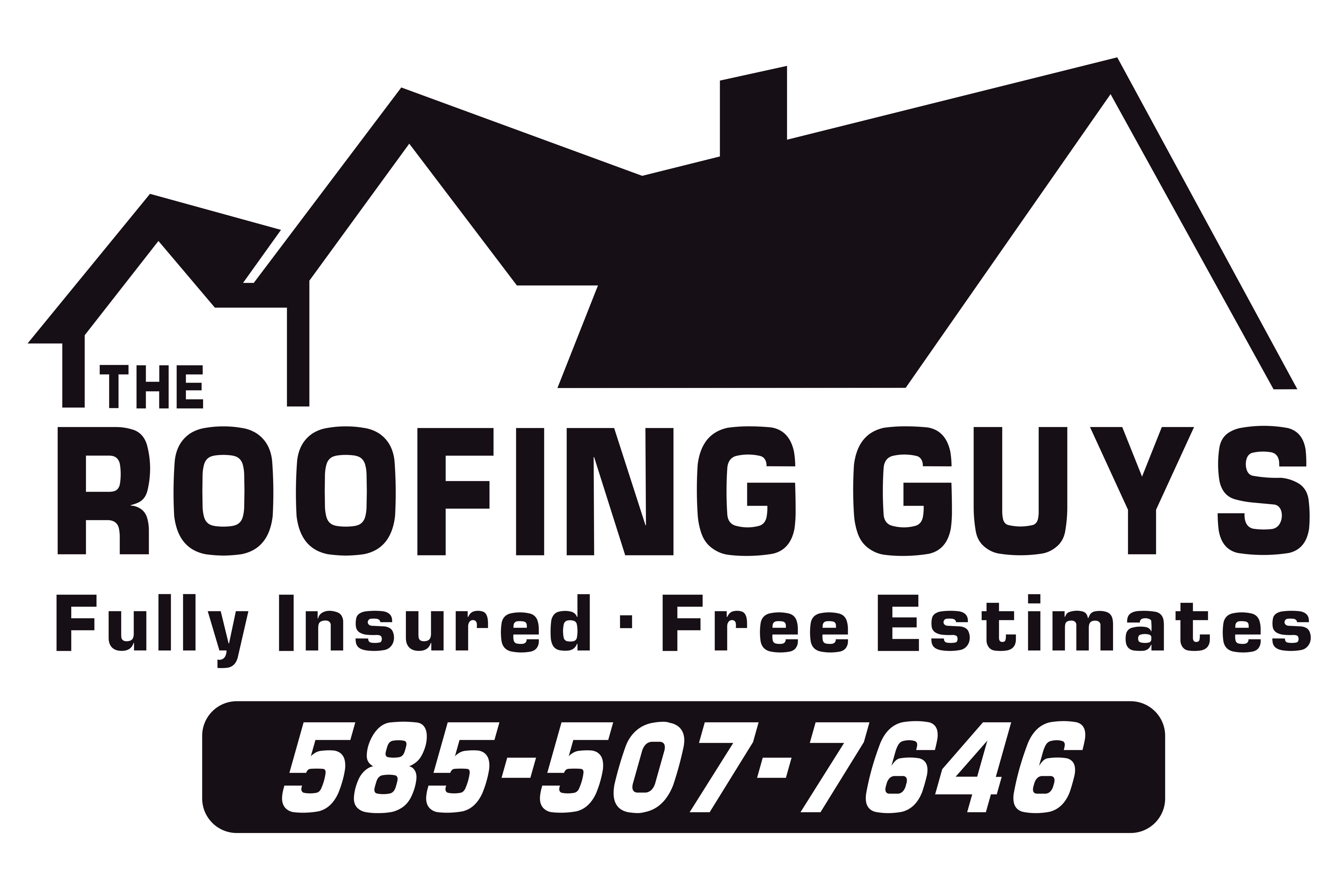Logo for The Roofing Guys