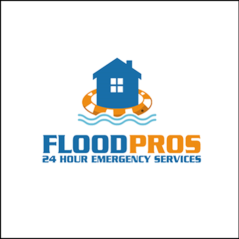 Flood Pros USA - Tampa logo
