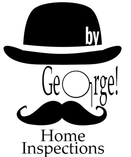 Logo for By George Inspections and Services