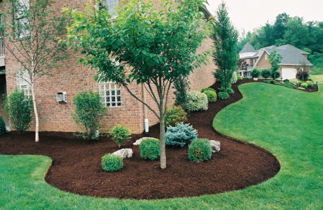Mt Juliet Lawn Service logo