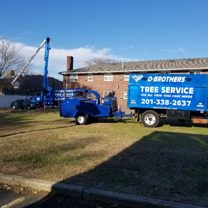 Logo for O'Brothers Tree Service LLC