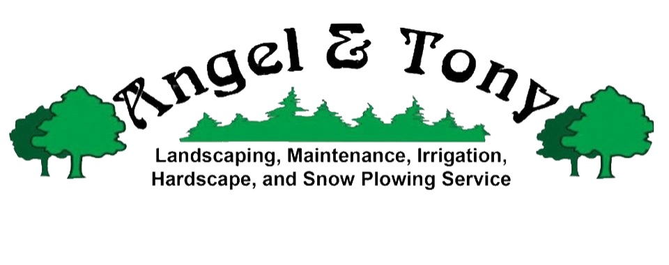 Avatar for Angel & Tony Landscaping