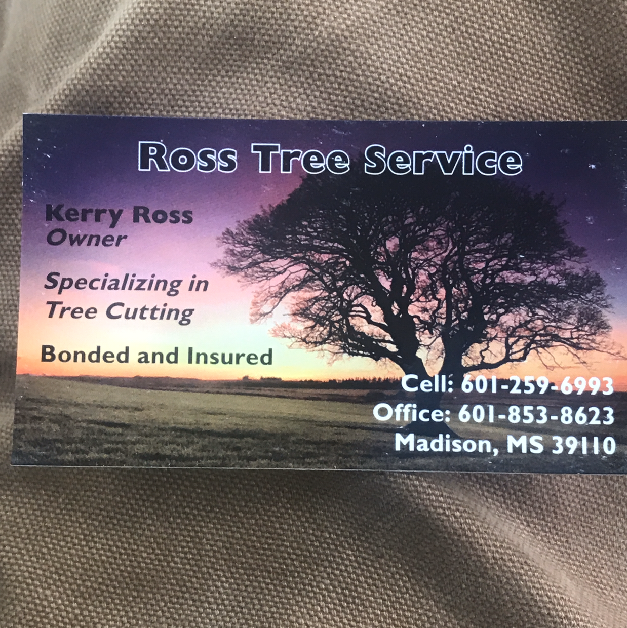 Avatar for Ross Tree Service LLC