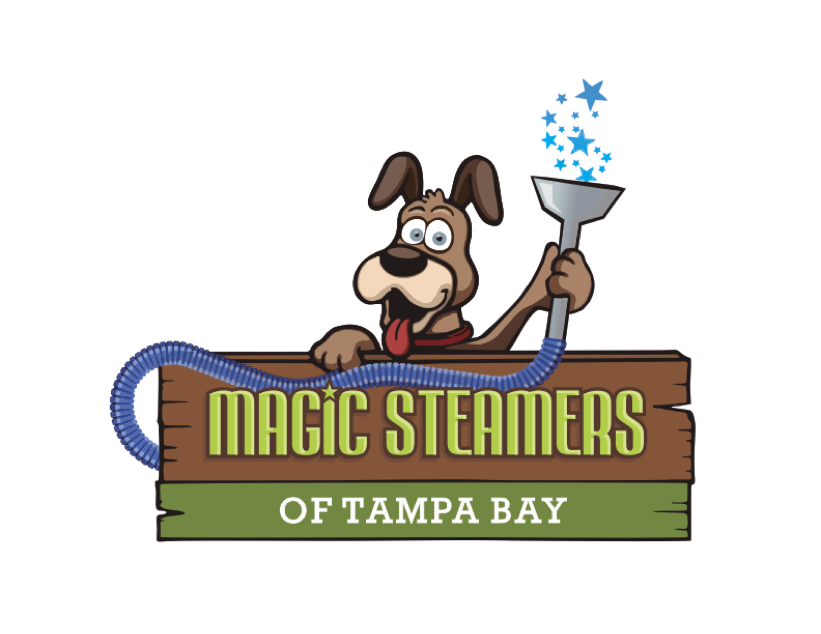 Magic Steamers of Tampa Bay logo