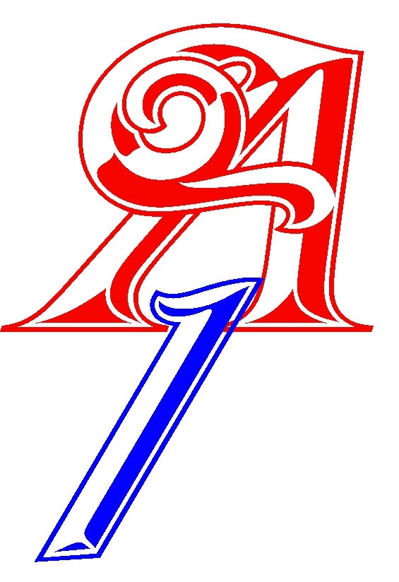 Logo for A1 Garage Door and Gate