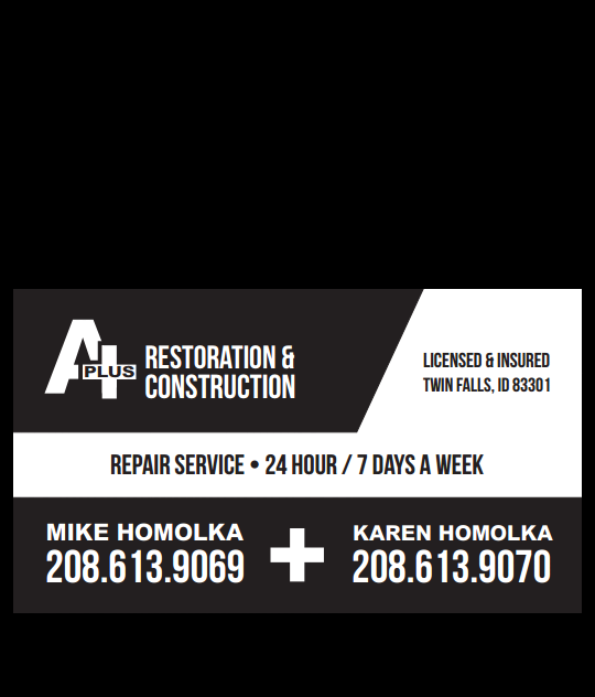 Avatar for A+ Restoration and Construction
