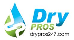 Dry Pros logo