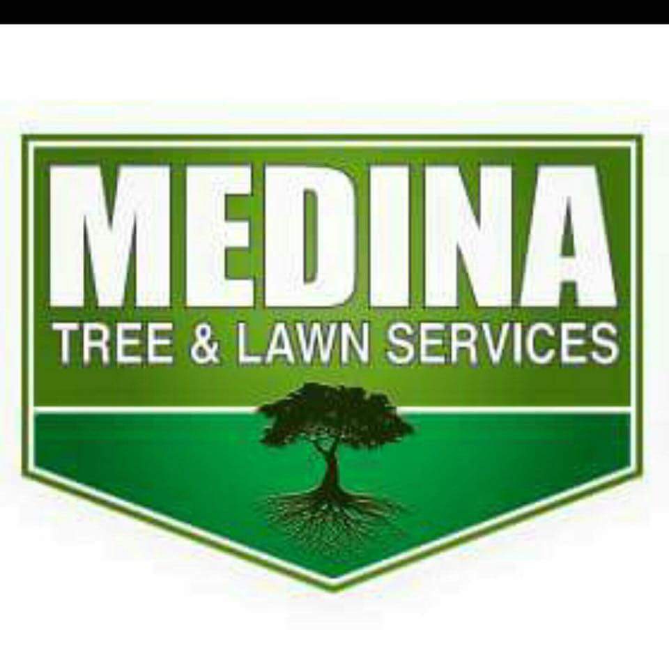 Avatar for Medina Tree Care