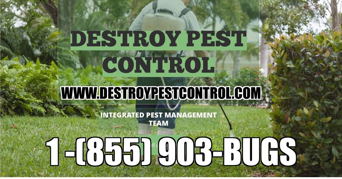 Avatar for Destroy Pest Control