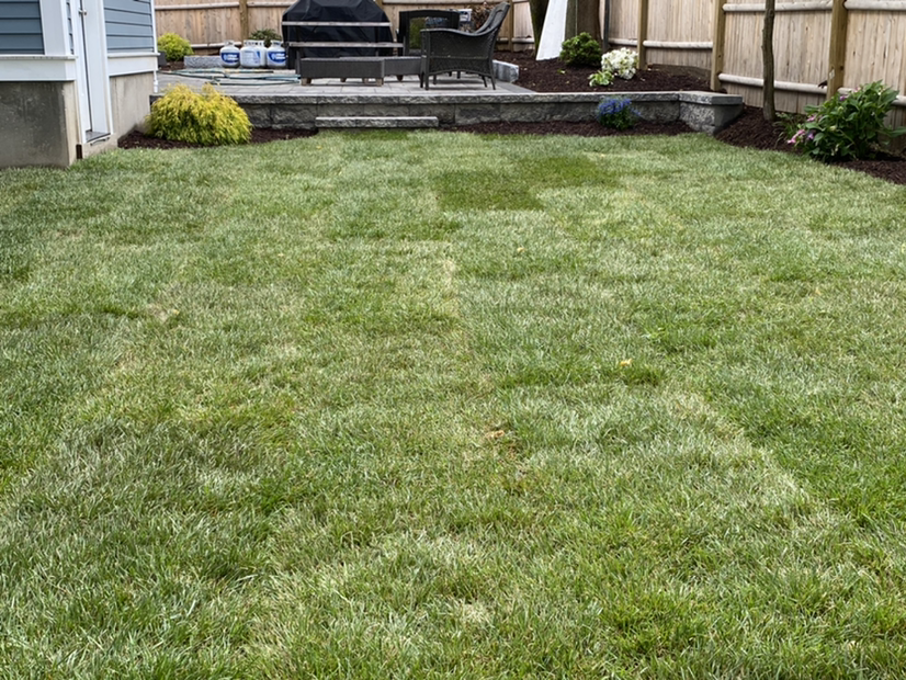 RM Affordable Landscaping & Tree Service Inc logo