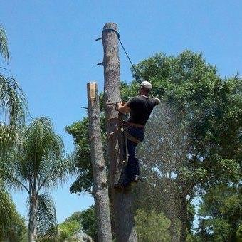 Avatar for Dages Tree Service