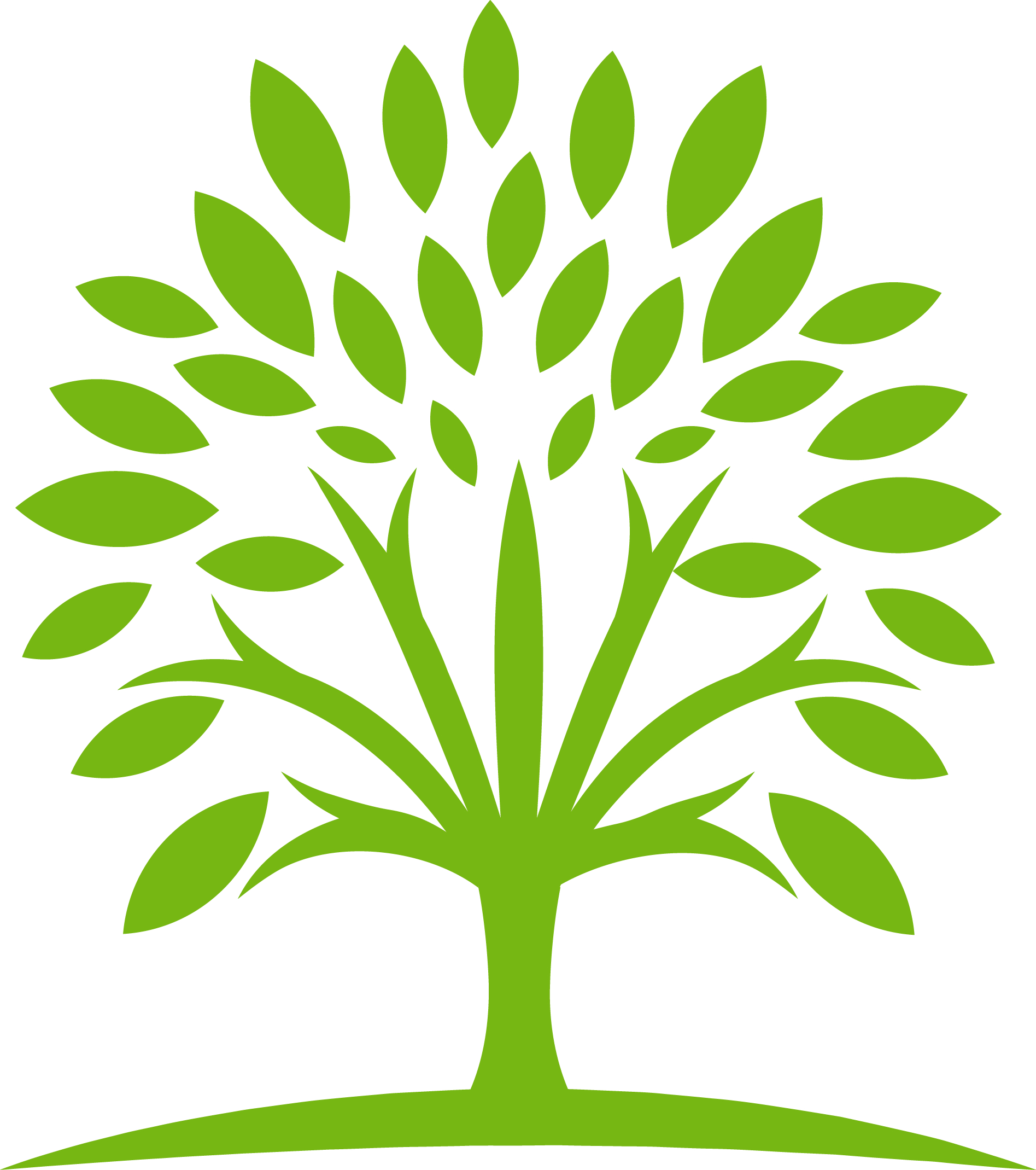 Avatar for Discount Tree Care Inc.