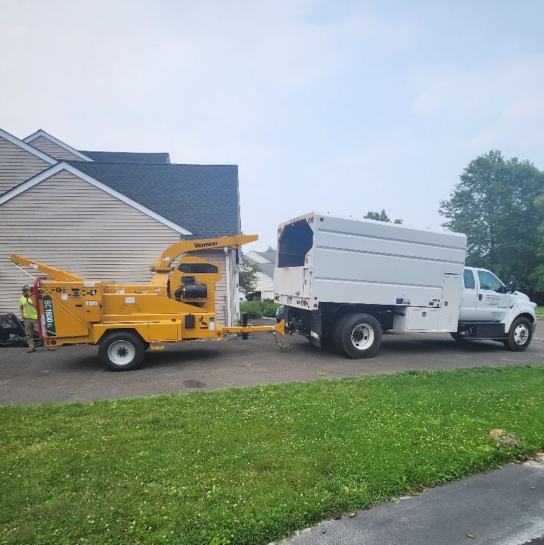Point Pleasant Tree Service logo