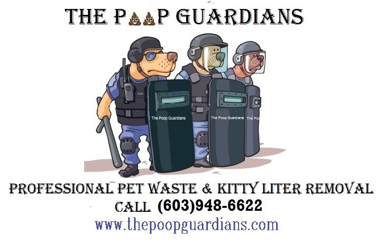 Logo for The Poop Guardians
