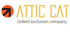 Avatar for Attic Cat - Rodent Exclusion Company