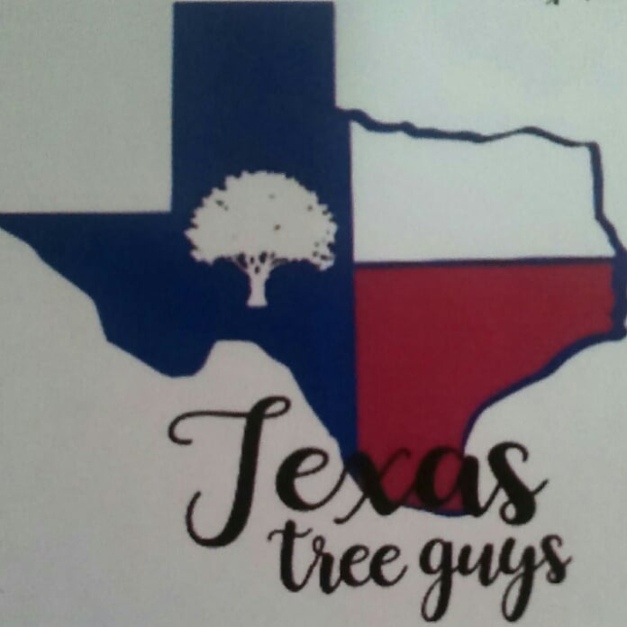 Avatar for Texas Tree Guys