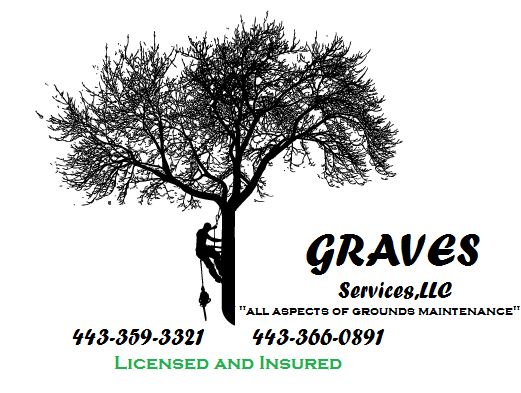 Logo for Graves Services LLC