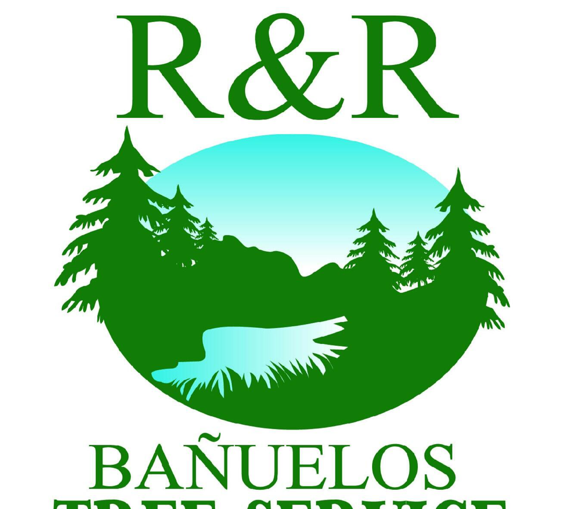 Avatar for R&R Banuelos Tree Service