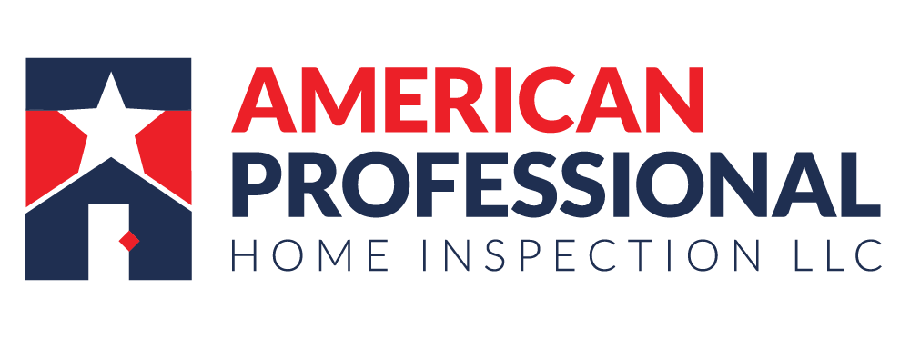 Logo for American Professional Home Inspection, LLC