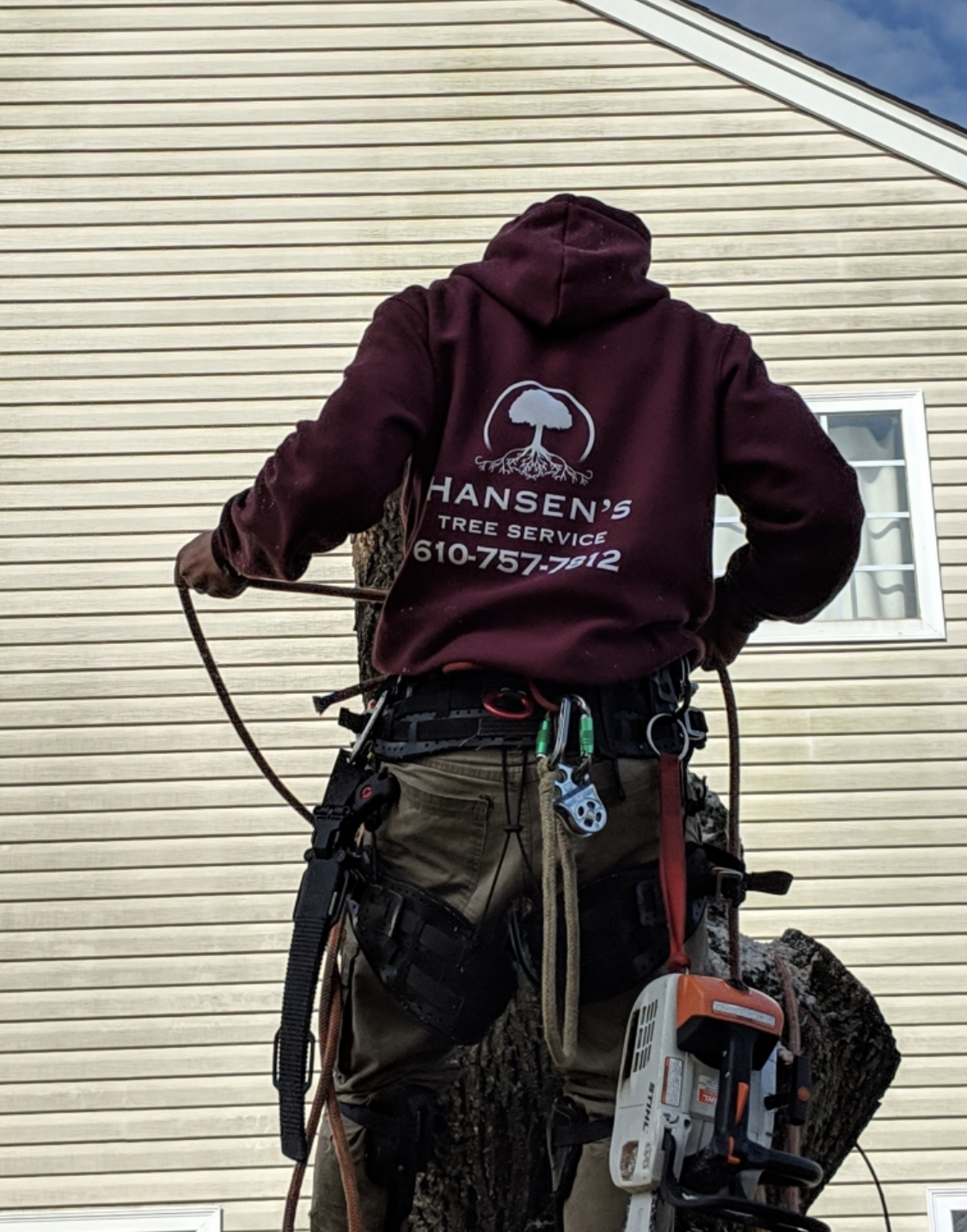 Hansen's Tree Service logo