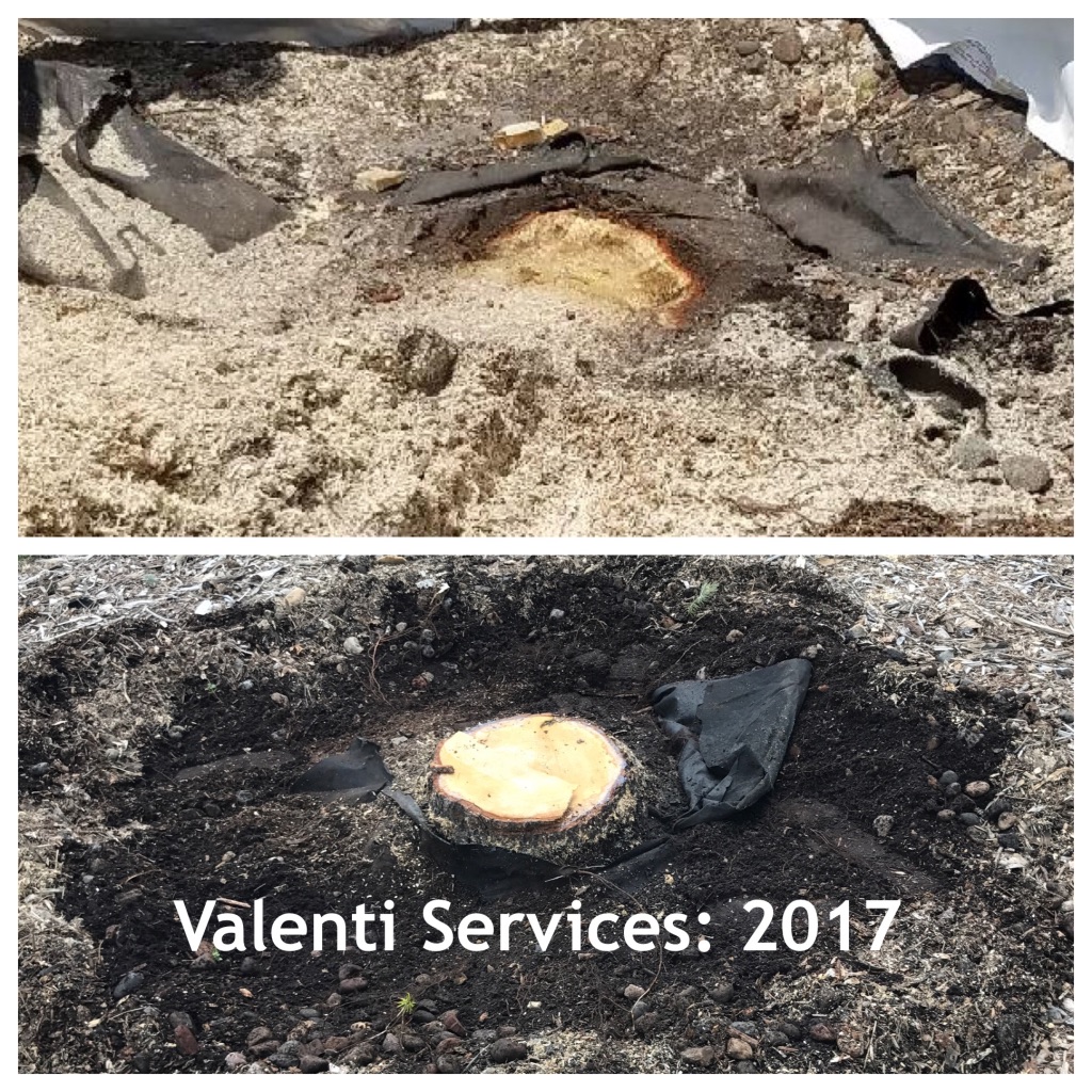 Avatar for Valenti Services