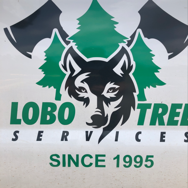 Avatar for Lobo Tree Service