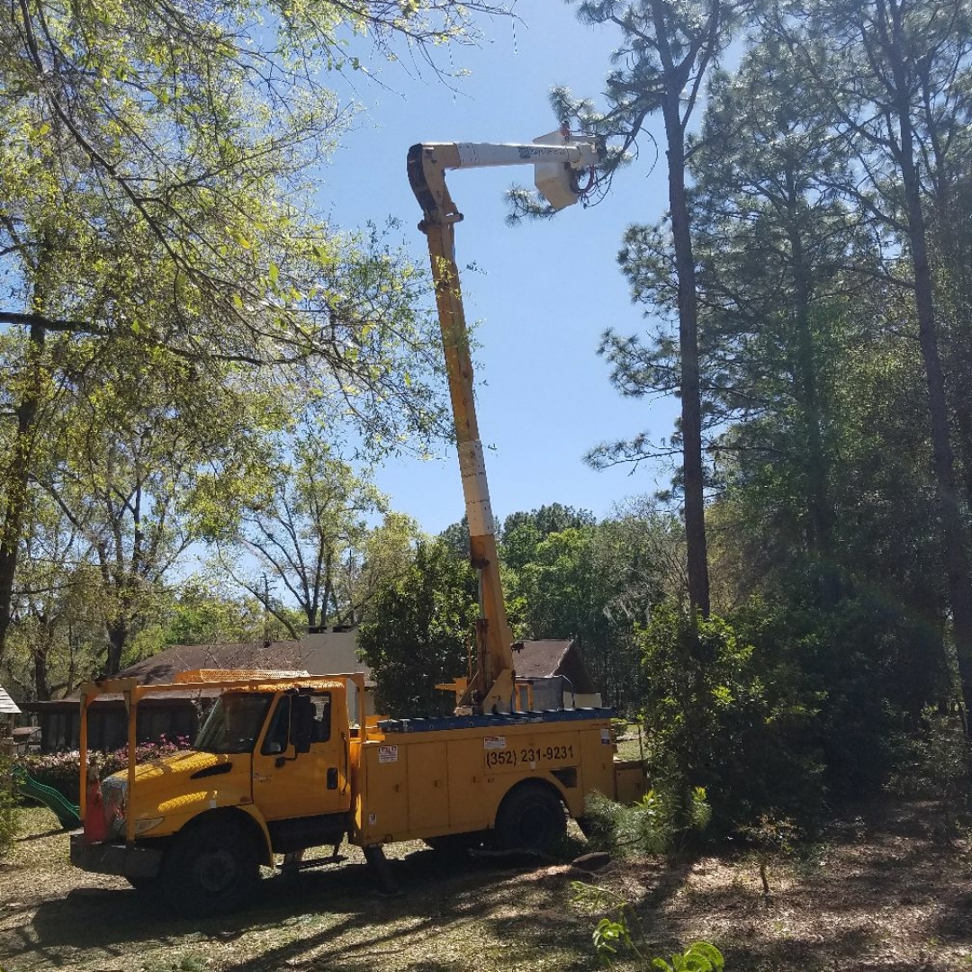 Logo for Dusty's Tree Service LLC