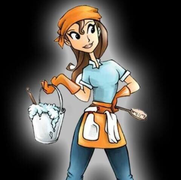 Defreitas Residential Cleaning Services logo