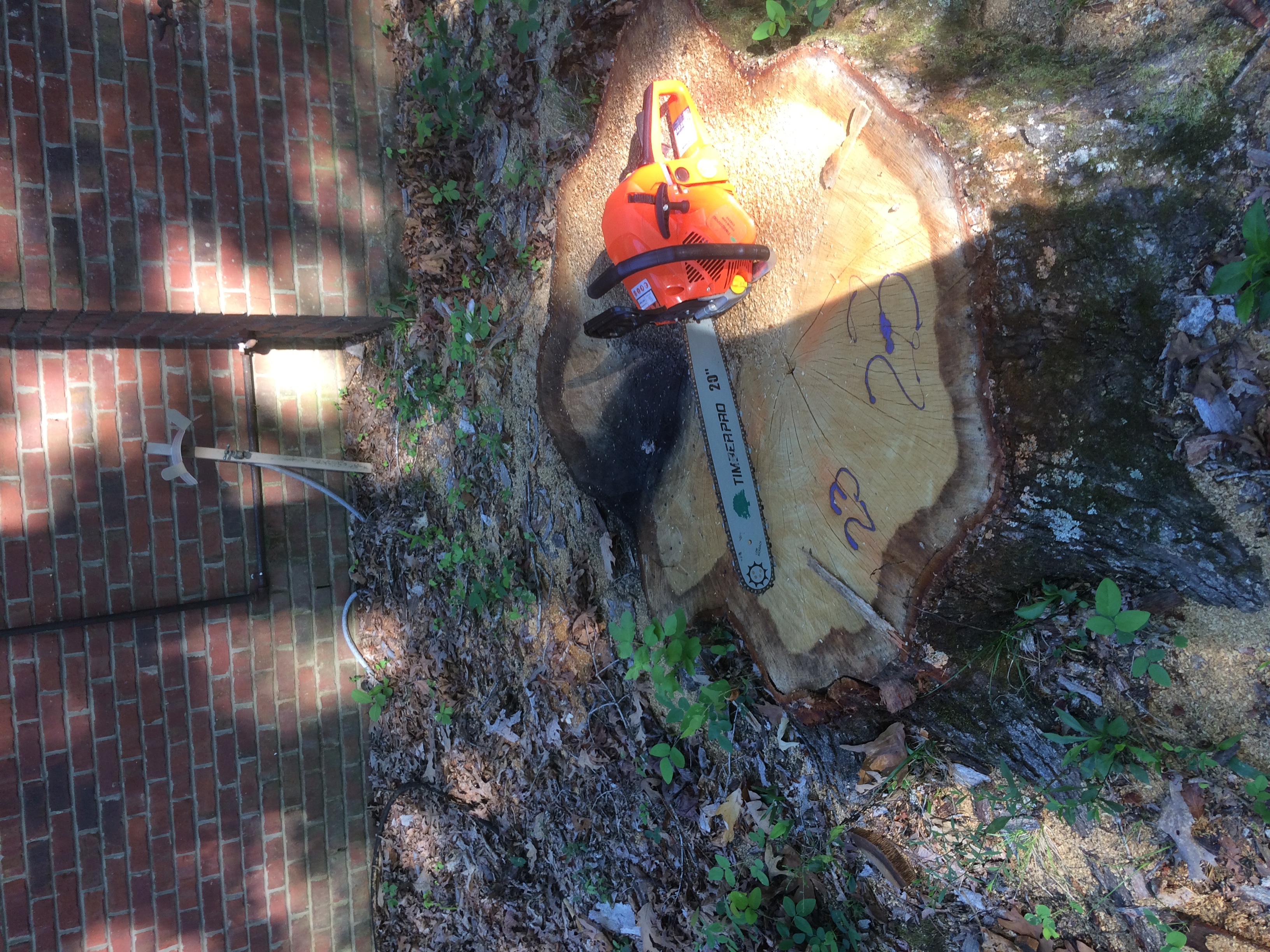 Three alarm stump grinding logo