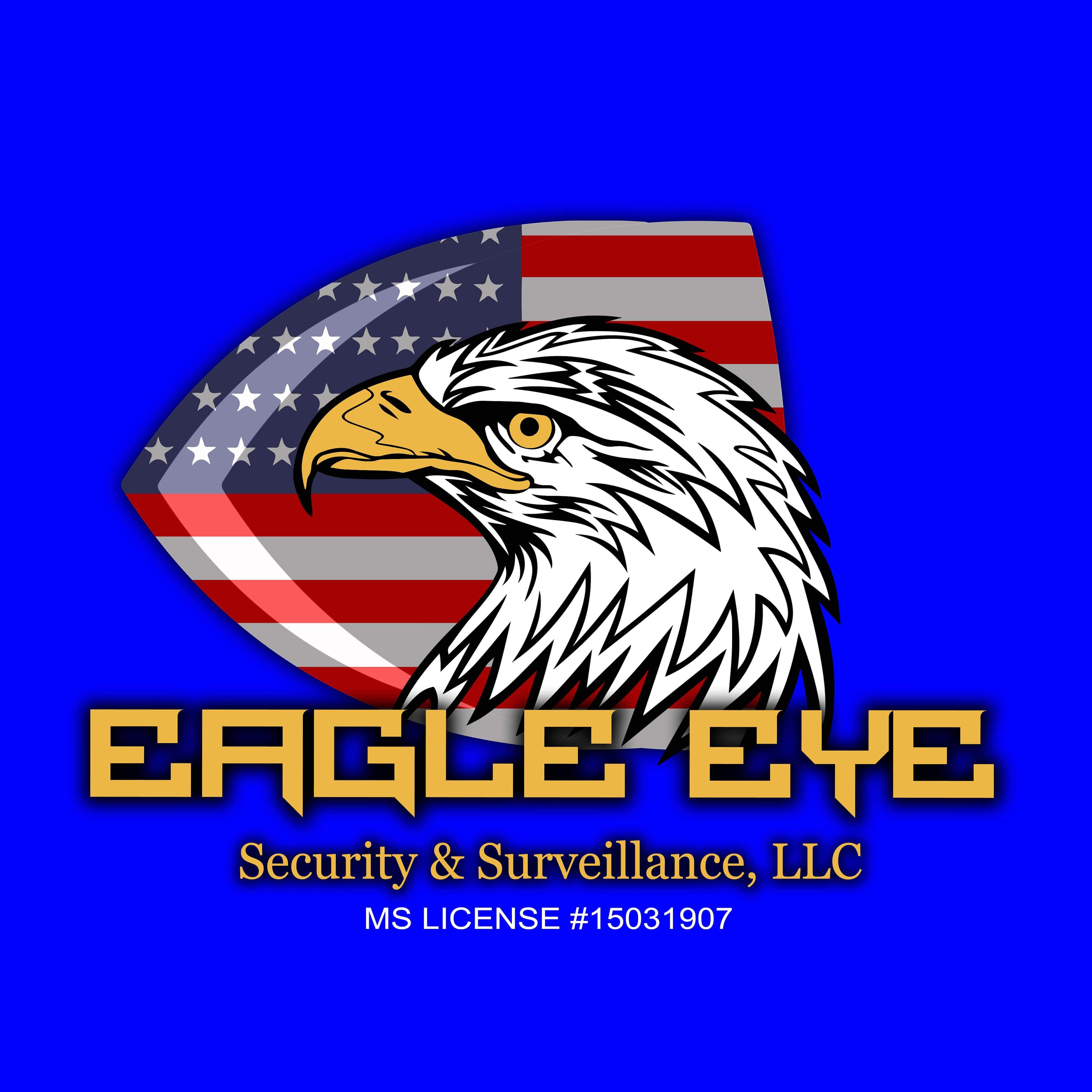 Logo for Eagle Eye Security & Surveillance llc