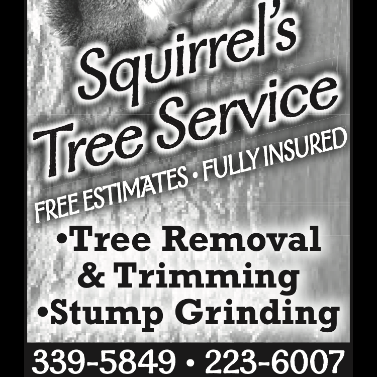 Logo for Squirrel's Tree Service