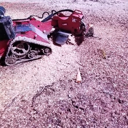 Avatar for Robert And Son Stump Removal