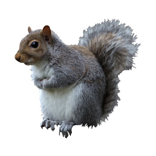 Logo for Critter Stoppers Inc.