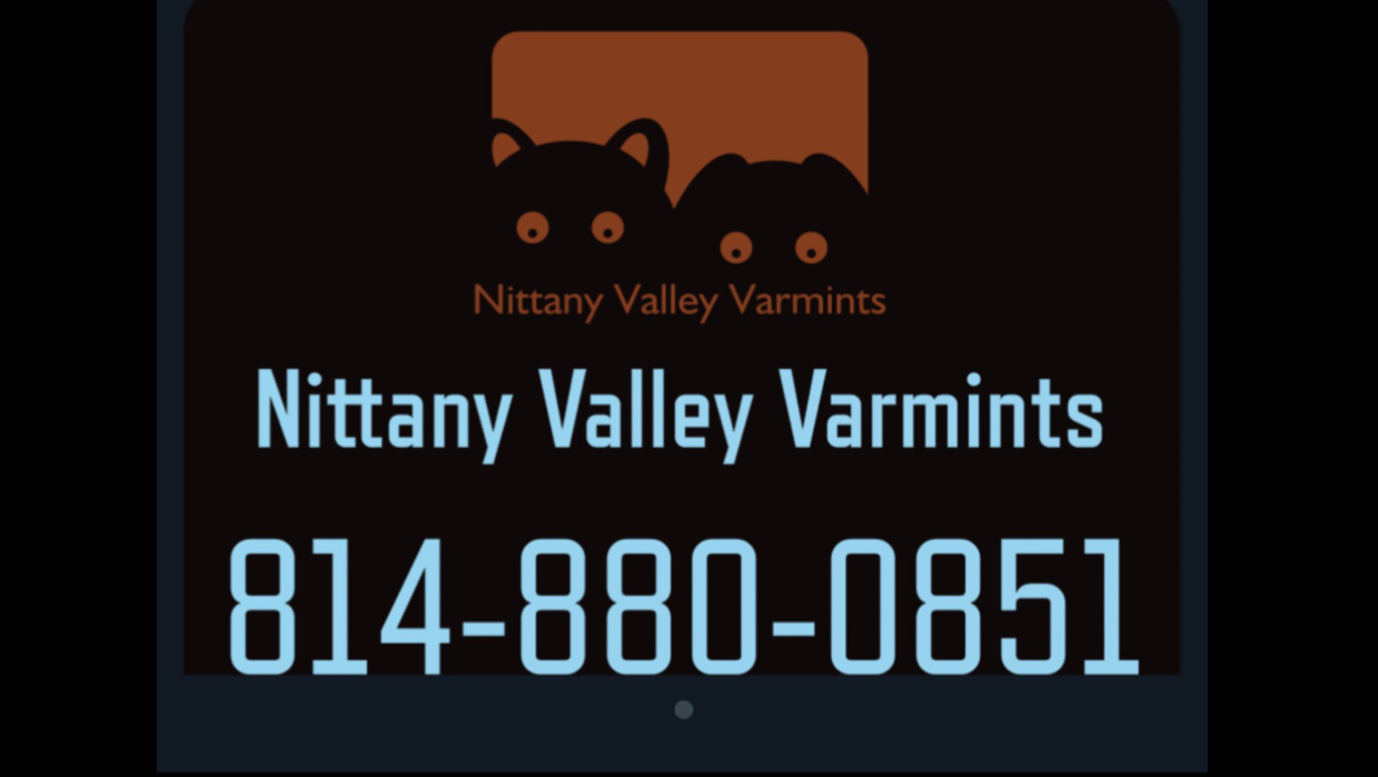 Avatar for Nittany Valley Varmints