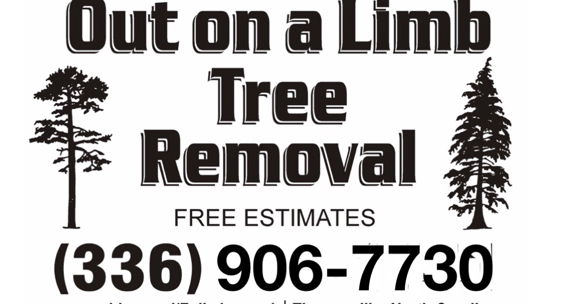 Avatar for Out on a Limb Tree Removal