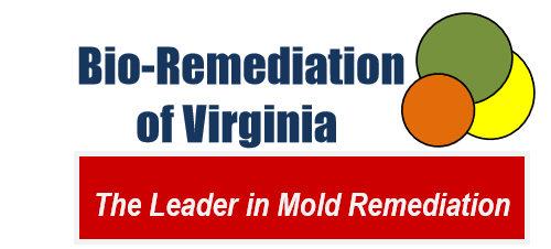 Bio-Remediation Of Virginia logo