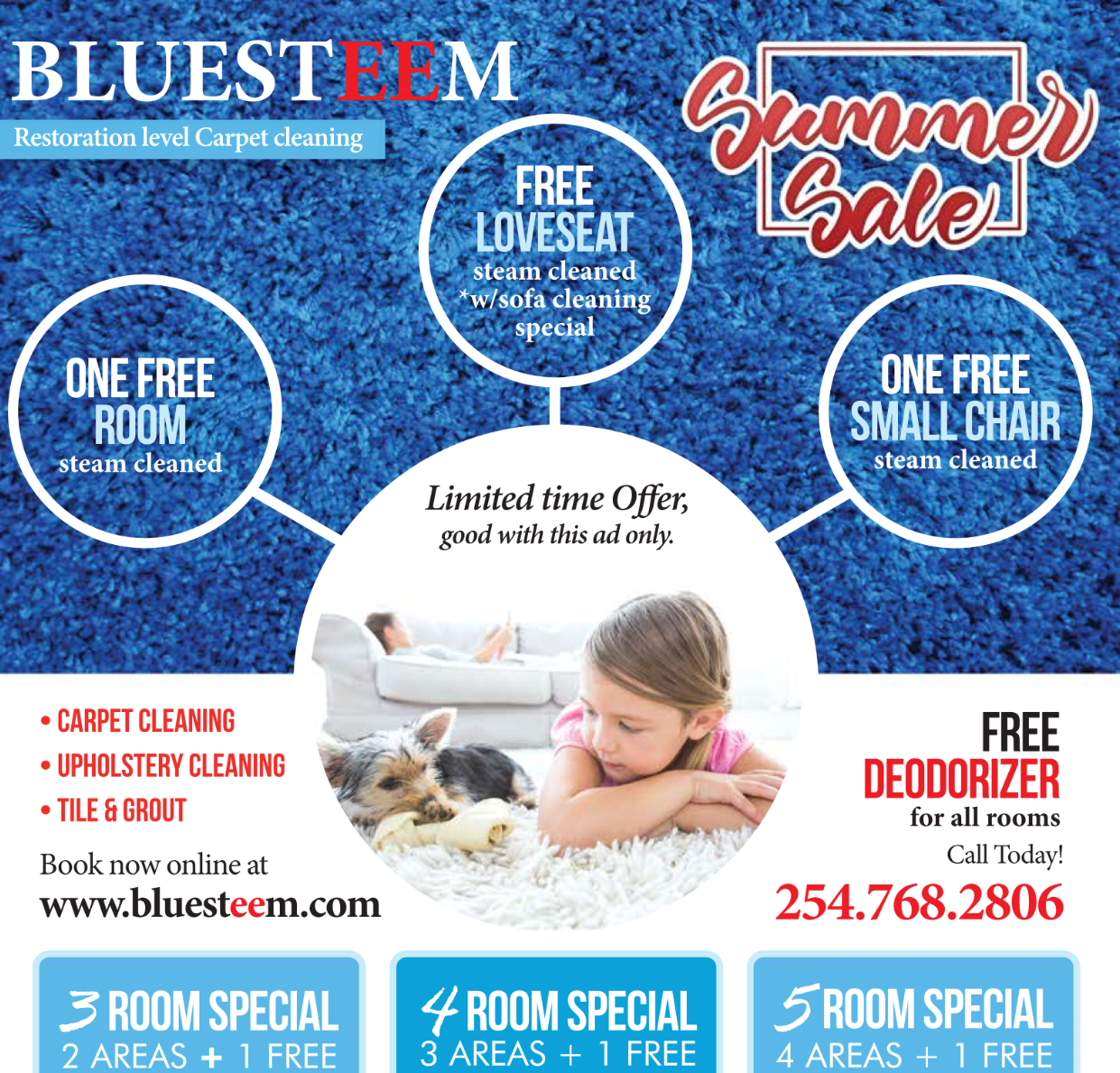 Logo for Bluesteem carpet and floor care