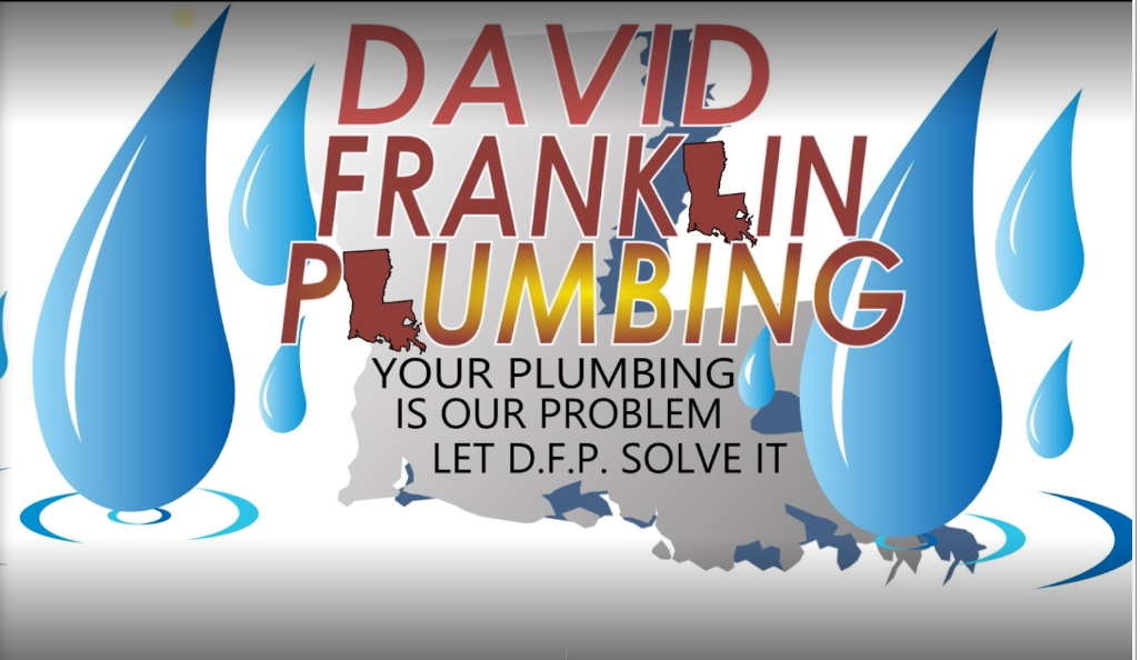 Avatar for David Franklin Plumbing