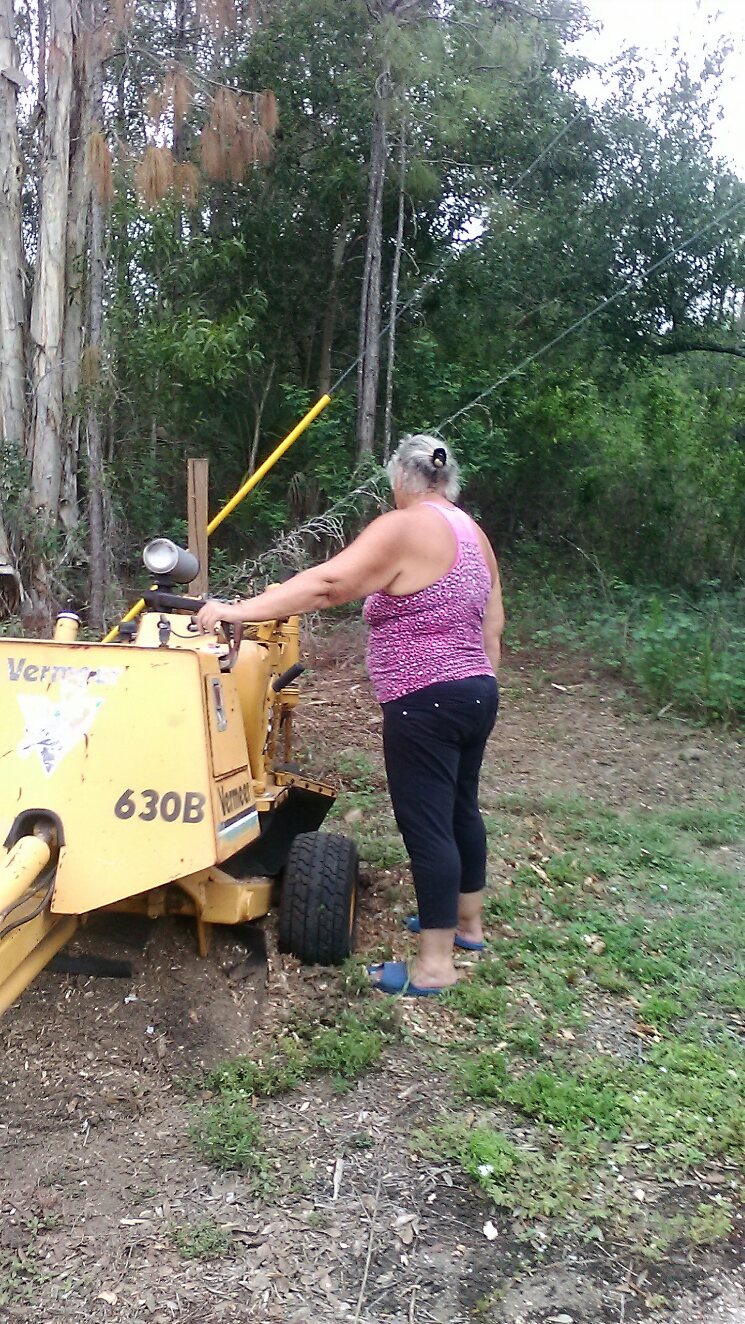 Logo for Judy's Stump Grinding