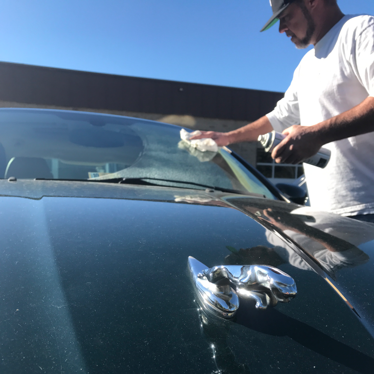 Logo for Preferred Auto Glass