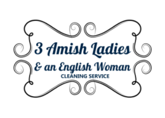 Logo for 3 Amish Ladies And An English Woman