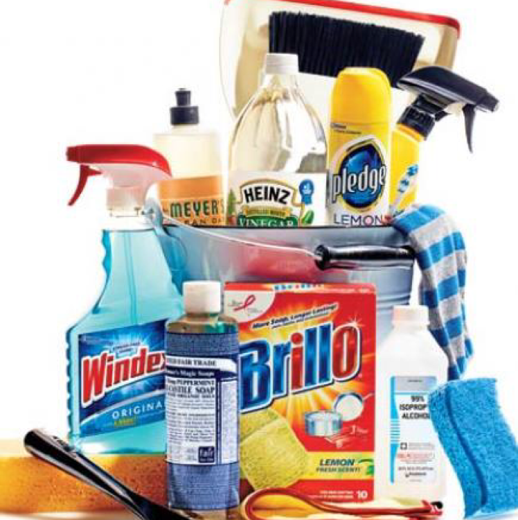 Catina Brown Cleaning Services logo