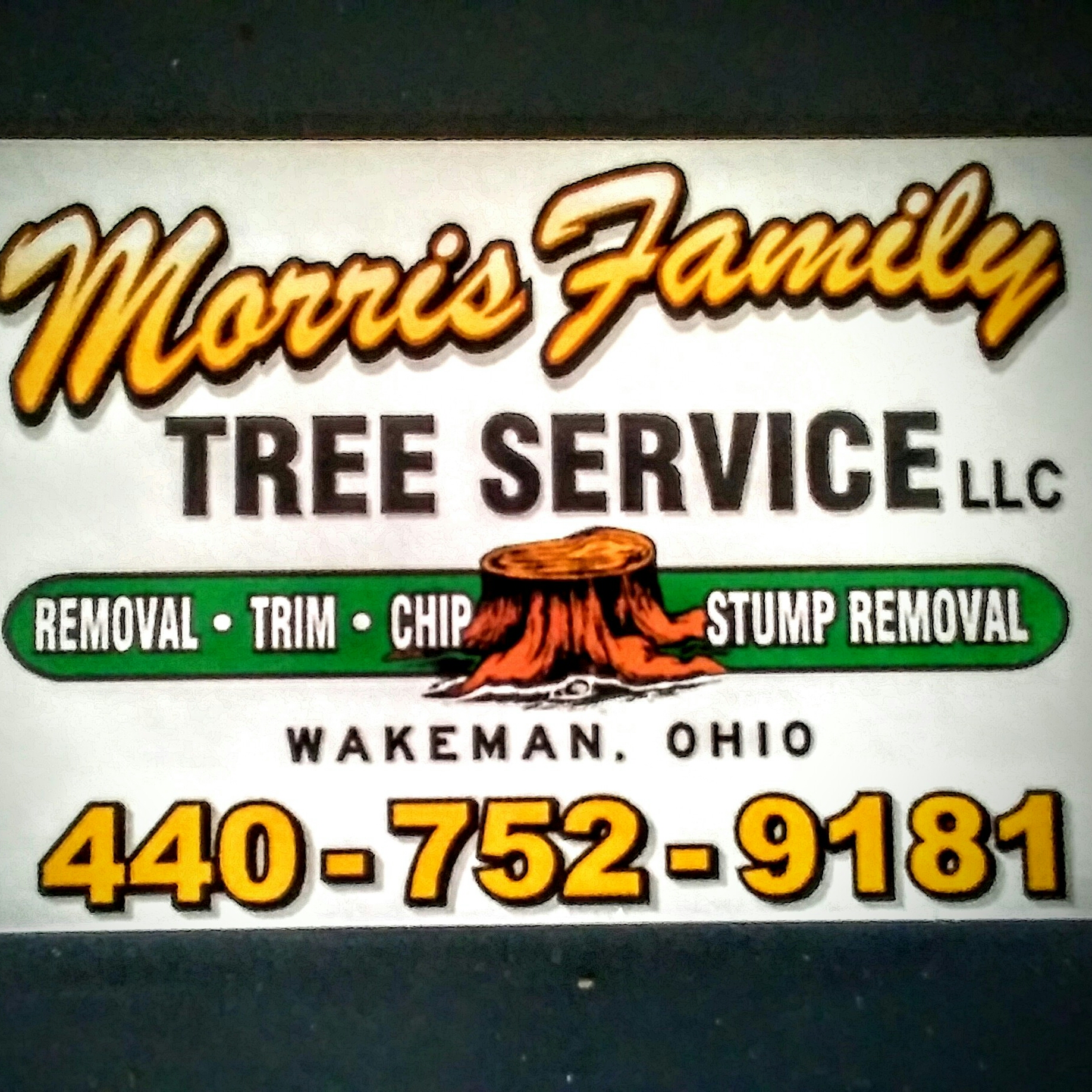 Avatar for Morris Family Tree Service