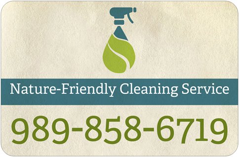 Avatar for Nature-Friendly Cleaning Service